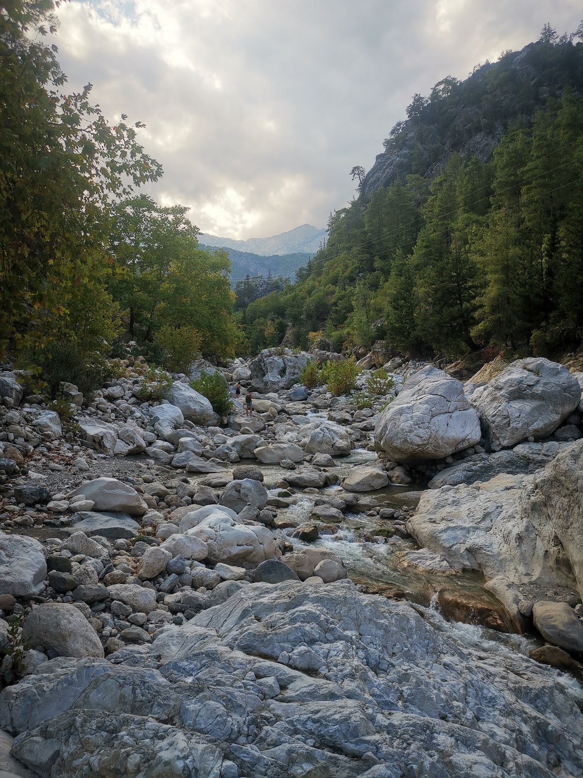 Kemer Nakliyat Antalya Evden Eve Nakliyat