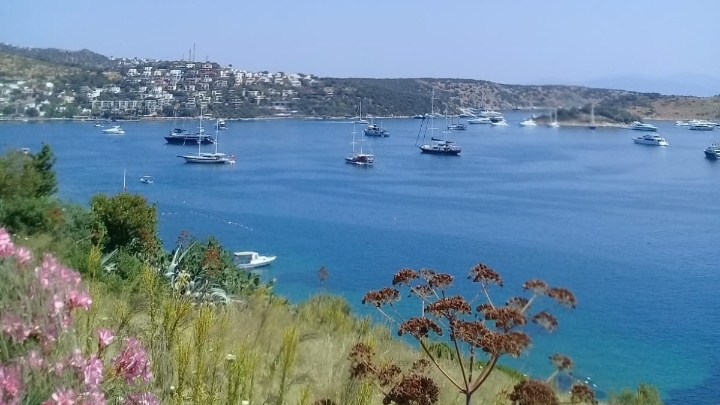 Teus Evden Eve Asansörlü Taşimacilik İzmir Evden Eve Nakliyat